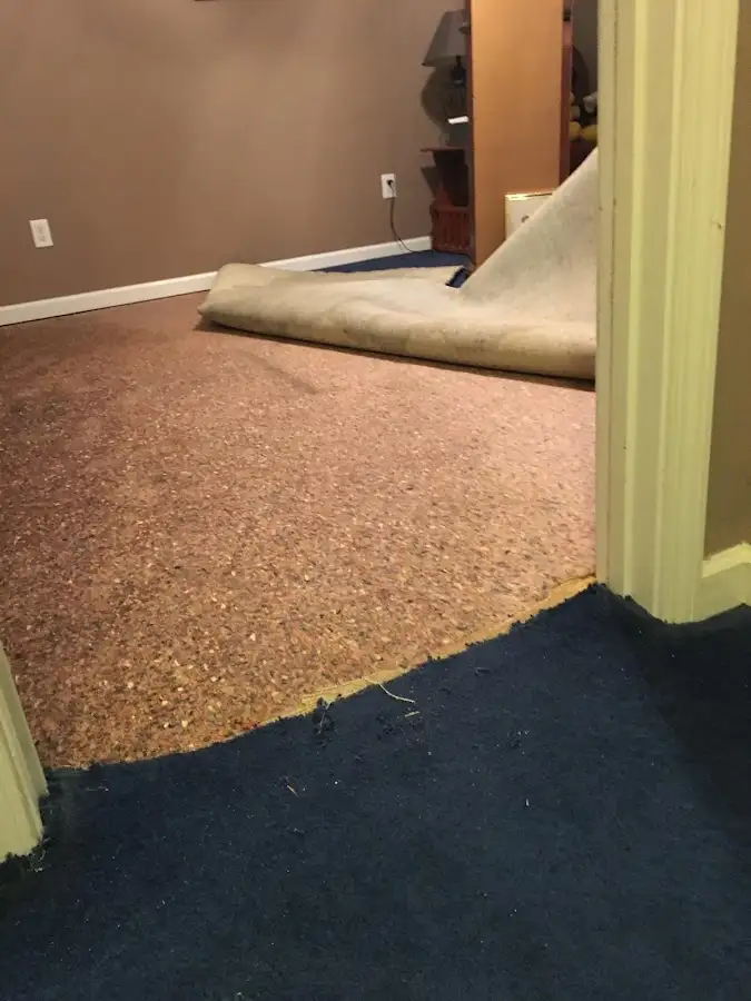 Carpet pad removal revealing water damage during Water Mitigation Services in Hackensack