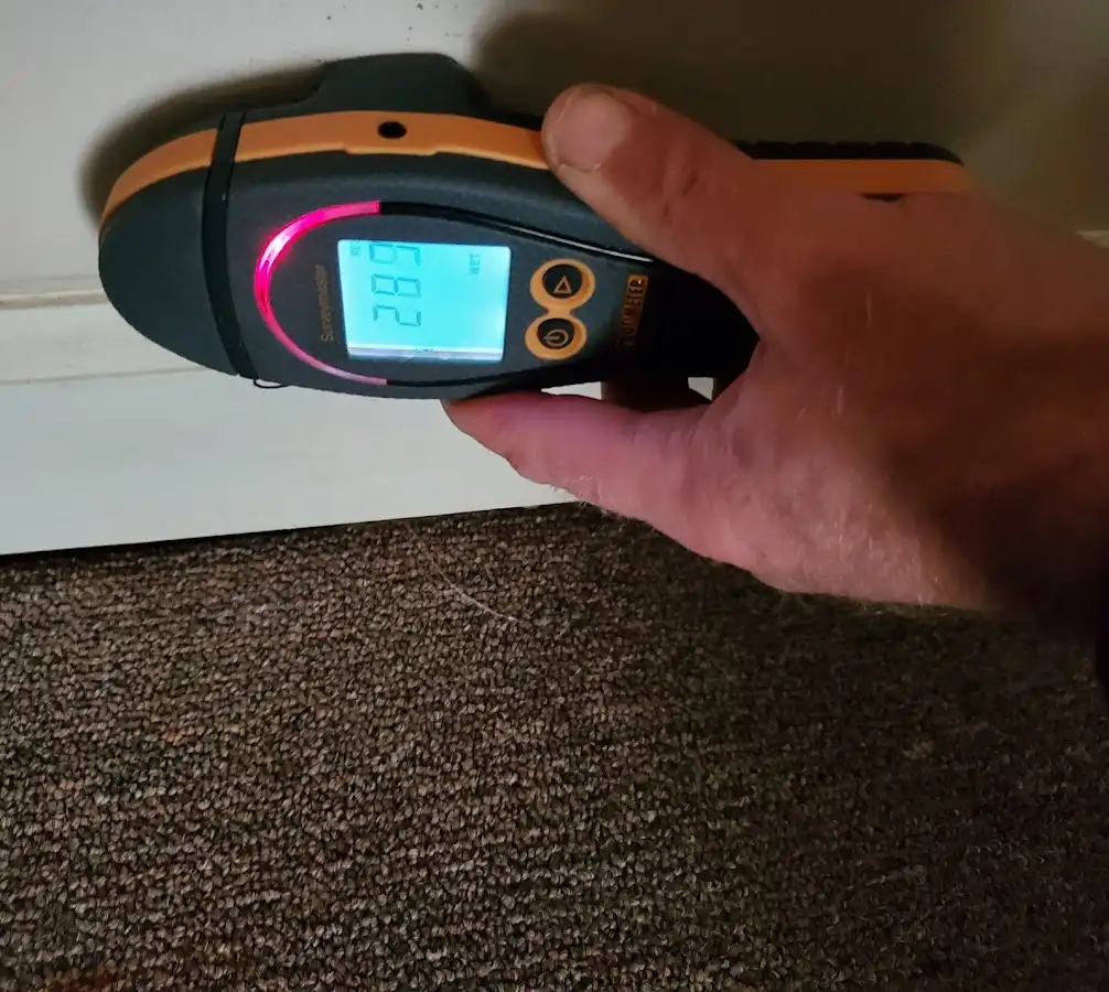 Moisture detection at baseboard during Sewage Cleanup & Sanitation in Hackensack